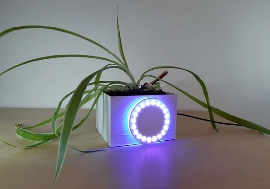 Connected Flowerpot