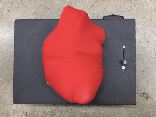 Anatomical 3D Printed Beating Heart