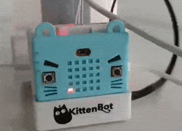 Kittenbot